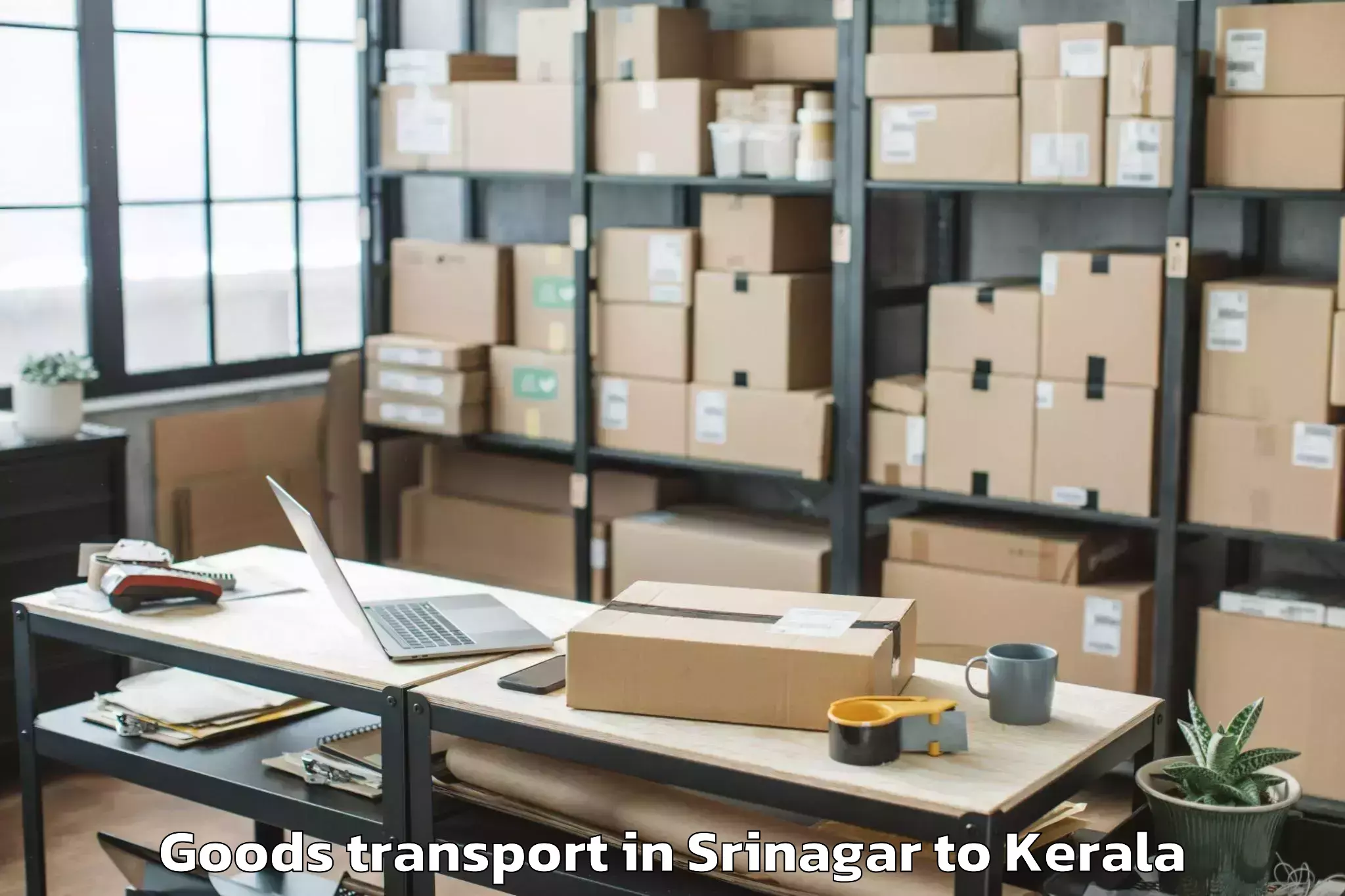 Book Srinagar to Idukki Goods Transport Online